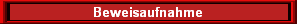 Beweisaufnahme